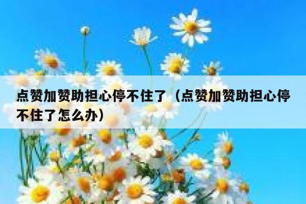 点赞加赞助担心停不住了（点赞加赞助担心停不住了怎么办） 第1张