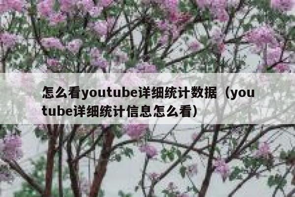 怎么看youtube详细统计数据（youtube详细统计信息怎么看） 第1张