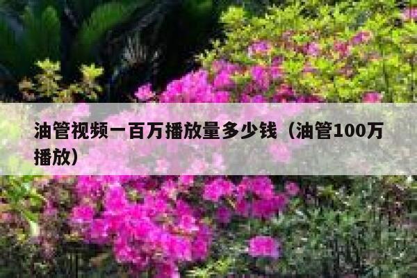油管视频一百万播放量多少钱(油管100万播放) 第1张 油管视频一百万播放量多少钱(油管100万播放) 第1张