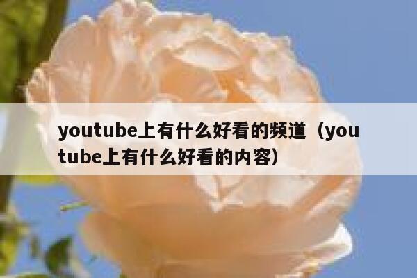 youtube上有什么好看的频道(youtube上有什么好看的内容) 第1张 youtube上有什么好看的频道(youtube上有什么好看的内容) 第1张