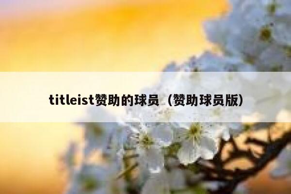 titleist赞助的球员（赞助球员版） 第1张