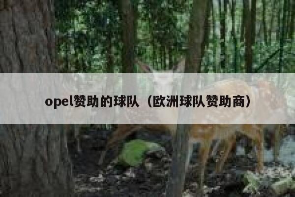 opel赞助的球队（欧洲球队赞助商） 第1张