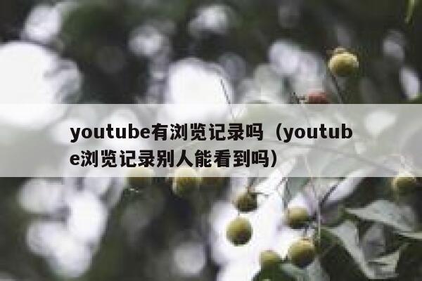 youtube有浏览记录吗（youtube浏览记录别人能看到吗） 第1张