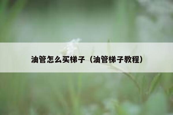 油管怎么买梯子（油管梯子教程） 第1张