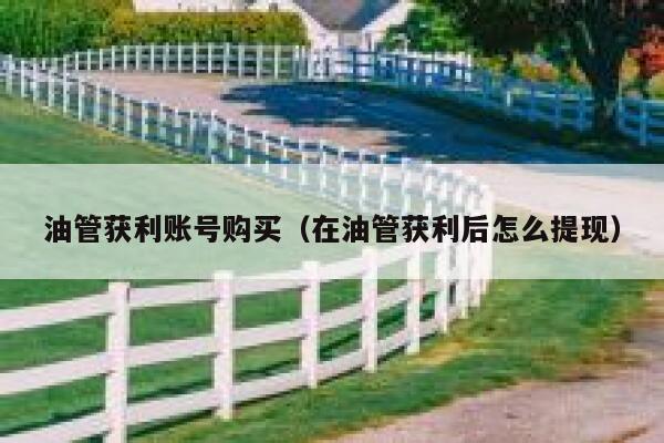 油管获利账号购买（在油管获利后怎么提现） 第1张