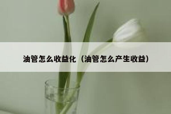 油管怎么收益化(油管怎么产生收益) 第1张 油管怎么收益化(油管怎么产生收益) 第1张