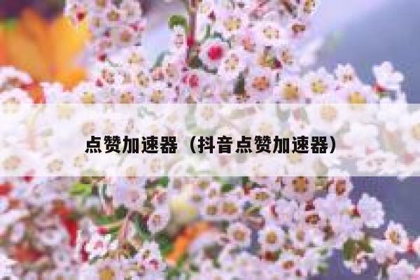 点赞加速器（抖音点赞加速器） 第1张