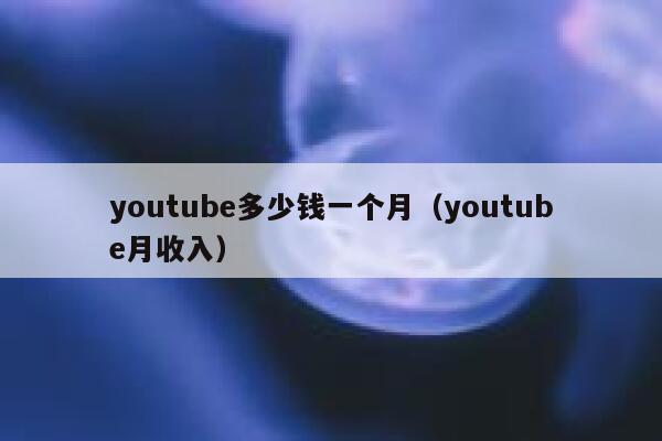 youtube多少钱一个月（youtube月收入） 第1张