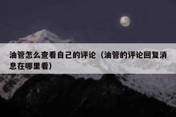 油管怎么查看自己的评论（油管的评论回复消息在哪里看） 第1张
