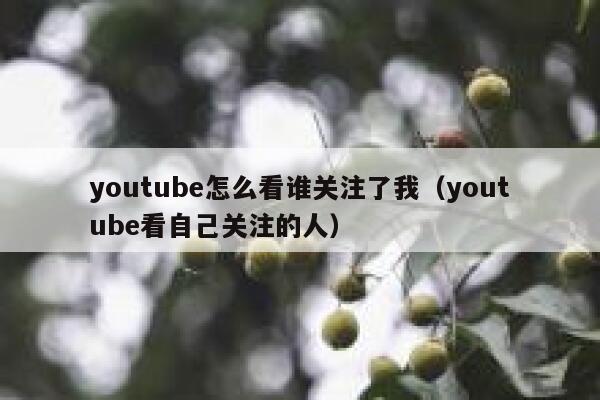 youtube怎么看谁关注了我(youtube看自己关注的人) 第1张 youtube怎么看谁关注了我(youtube看自己关注的人) 第1张