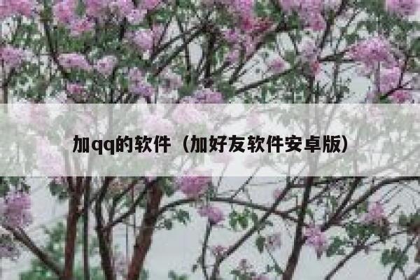 加qq的软件（加好友软件安卓版） 第1张