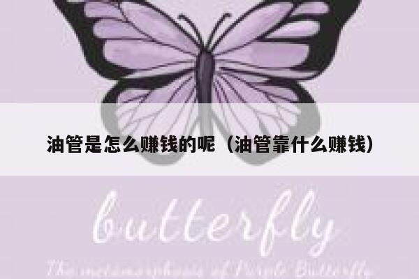 油管是怎么赚钱的呢（油管靠什么赚钱） 第1张