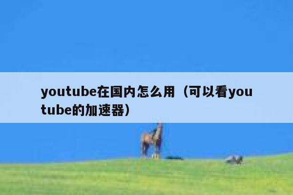 youtube在国内怎么用（可以看youtube的加速器） 第1张