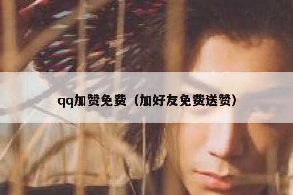 qq加赞免费（加好友免费送赞） 第1张