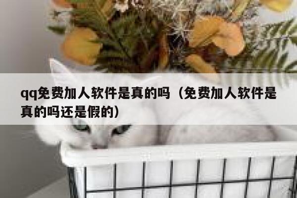 qq免费加人软件是真的吗（免费加人软件是真的吗还是假的） 第1张
