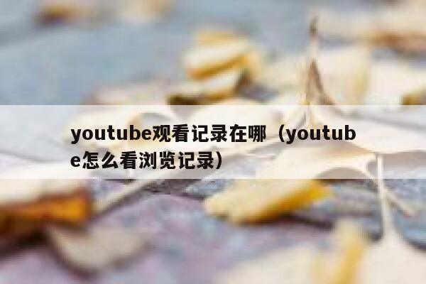 youtube观看记录在哪(youtube怎么看浏览记录) 第1张 youtube观看记录在哪(youtube怎么看浏览记录) 第1张