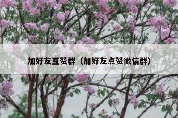 加好友互赞群(加好友点赞微信群) 第1张 加好友互赞群(加好友点赞微信群) 第1张