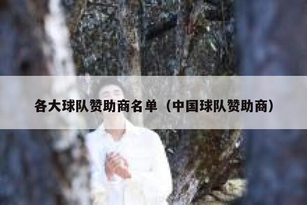 各大球队赞助商名单（中国球队赞助商） 第1张