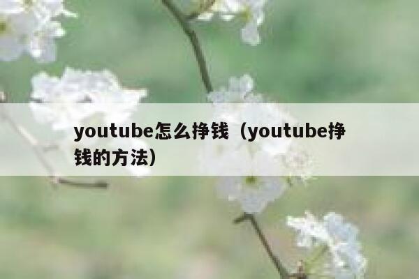 youtube怎么挣钱（youtube挣钱的方法） 第1张