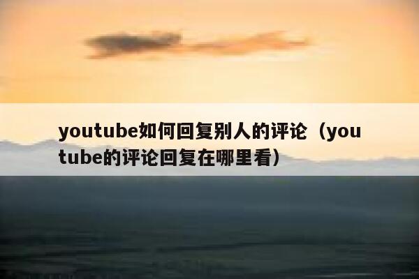 youtube如何回复别人的评论（youtube的评论回复在哪里看） 第1张