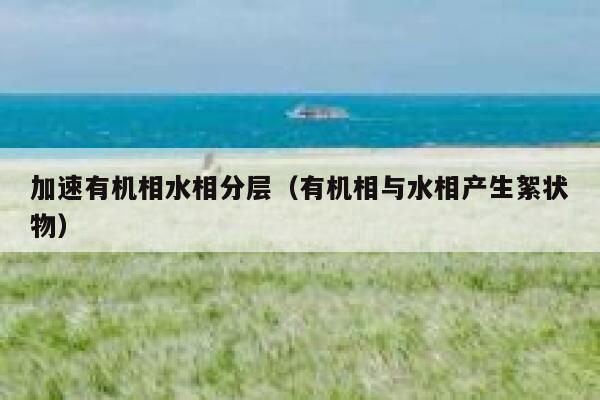 加速有机相水相分层（有机相与水相产生絮状物） 第1张