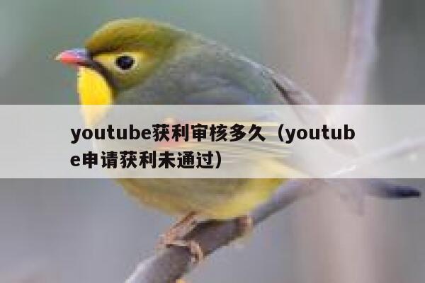 youtube获利审核多久（youtube申请获利未通过） 第1张