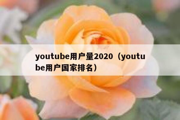 youtube用户量2020（youtube用户国家排名） 第1张