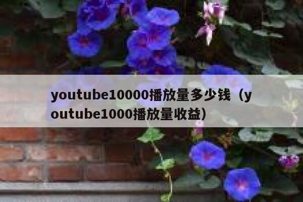 youtube10000播放量多少钱（youtube1000播放量收益） 第1张