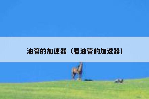 油管的加速器(看油管的加速器) 第1张 油管的加速器(看油管的加速器) 第1张