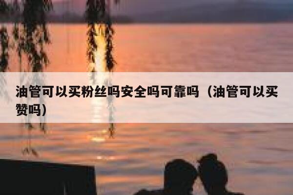 油管可以买粉丝吗安全吗可靠吗（油管可以买赞吗） 第1张