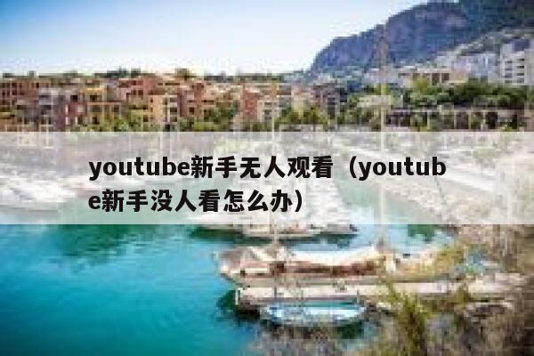 youtube新手无人观看（youtube新手没人看怎么办） 第1张