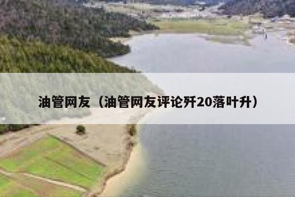 油管网友（油管网友评论歼20落叶升） 第1张