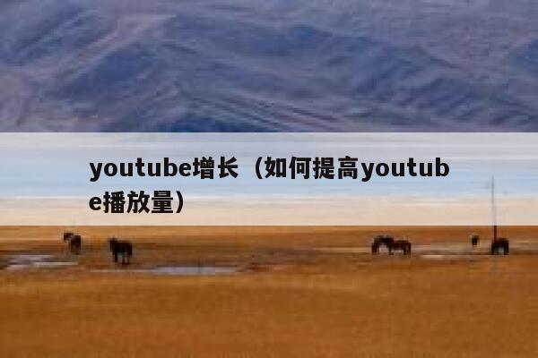youtube增长（如何提高youtube播放量） 第1张