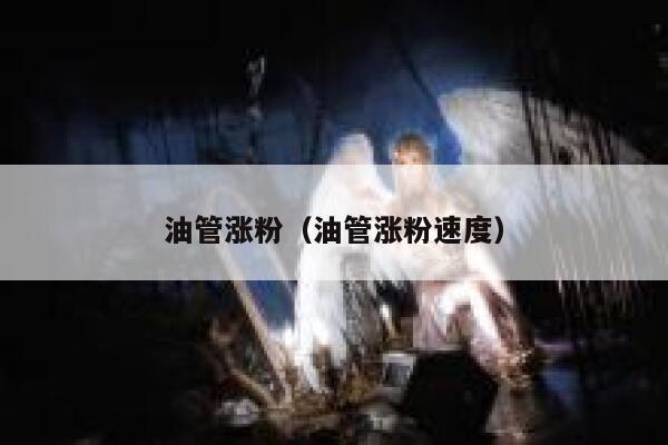 油管涨粉（油管涨粉速度） 第1张