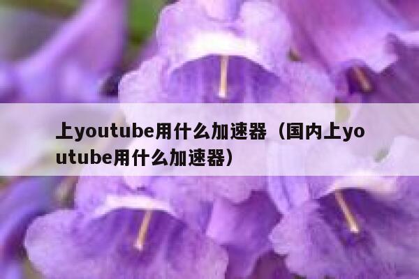 上youtube用什么加速器（国内上youtube用什么加速器） 第1张