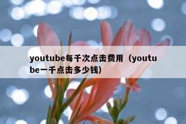 youtube每千次点击费用（youtube一千点击多少钱） 第1张