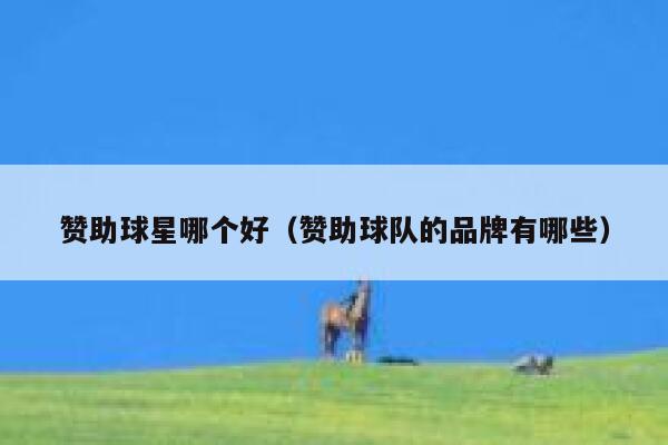 赞助球星哪个好（赞助球队的品牌有哪些） 第1张