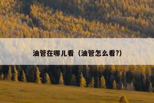 油管在哪儿看(油管怎么看?) 第1张 油管在哪儿看(油管怎么看?) 第1张
