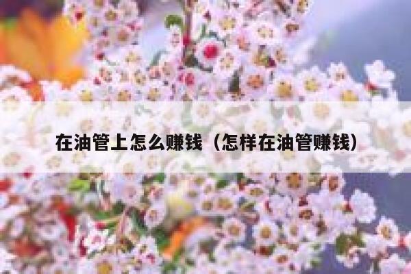 在油管上怎么赚钱(怎样在油管赚钱) 第1张 在油管上怎么赚钱(怎样在油管赚钱) 第1张