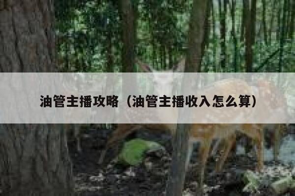 油管主播攻略(油管主播收入怎么算) 第1张 油管主播攻略(油管主播收入怎么算) 第1张