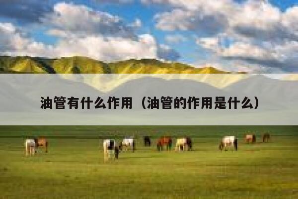 油管有什么作用（油管的作用是什么） 第1张