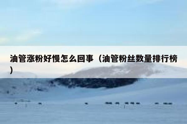 油管涨粉好慢怎么回事（油管粉丝数量排行榜） 第1张