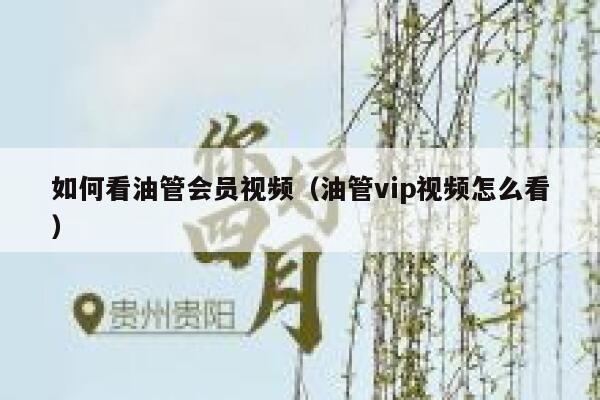 如何看油管会员视频（油管vip视频怎么看） 第1张