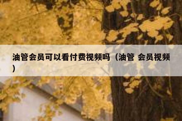 油管会员可以看付费视频吗（油管 会员视频） 第1张