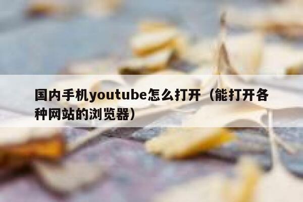 国内手机youtube怎么打开（能打开各种网站的浏览器） 第1张