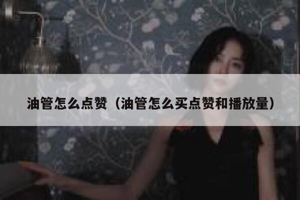 油管怎么点赞（油管怎么买点赞和播放量） 第1张