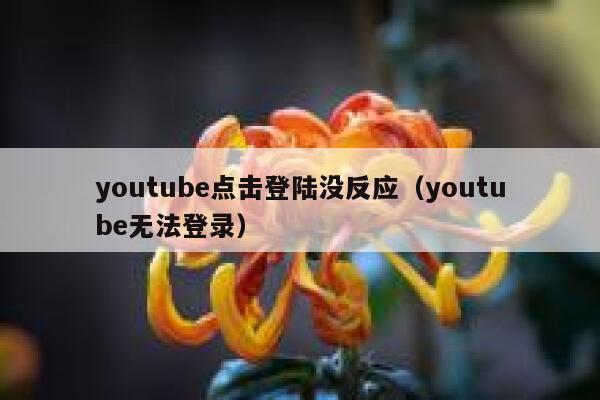 youtube点击登陆没反应(youtube无法登录) 第1张 youtube点击登陆没反应(youtube无法登录) 第1张