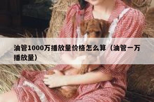 油管1000万播放量价格怎么算（油管一万播放量） 第1张