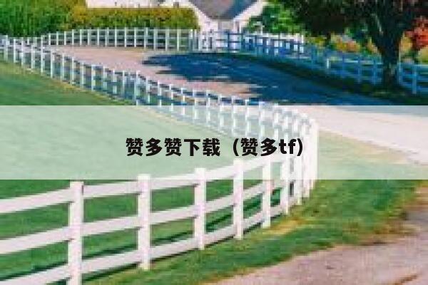 赞多赞下载（赞多tf） 第1张