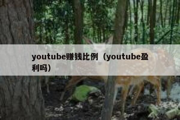 youtube赚钱比例（youtube盈利吗） 第1张